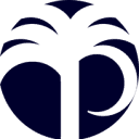 Palmetto Moon