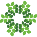 Rainforest Distribution